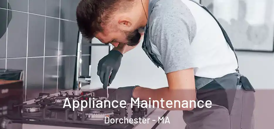 Appliance Maintenance Dorchester - MA