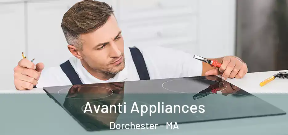  Avanti Appliances Dorchester - MA