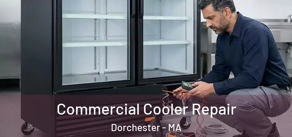 Commercial Cooler Repair Dorchester - MA
