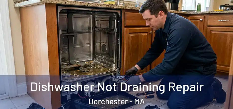 Dishwasher Not Draining Repair Dorchester - MA