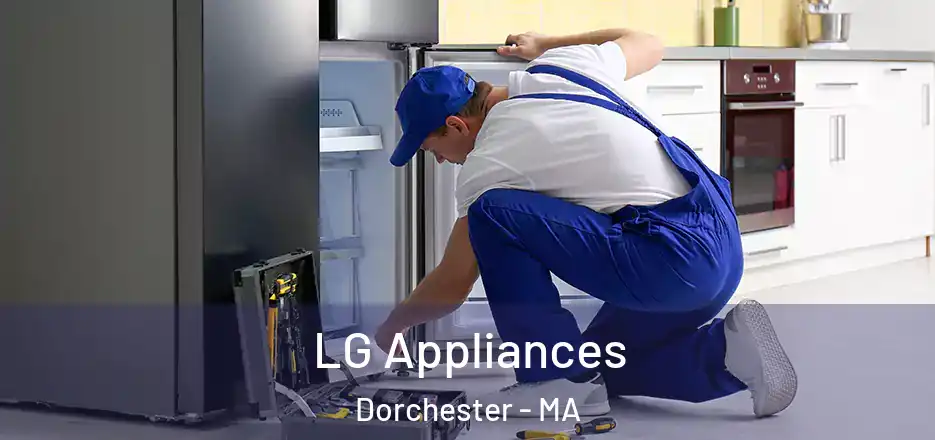  LG Appliances Dorchester - MA