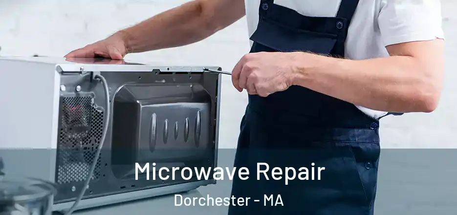  Microwave Repair Dorchester - MA