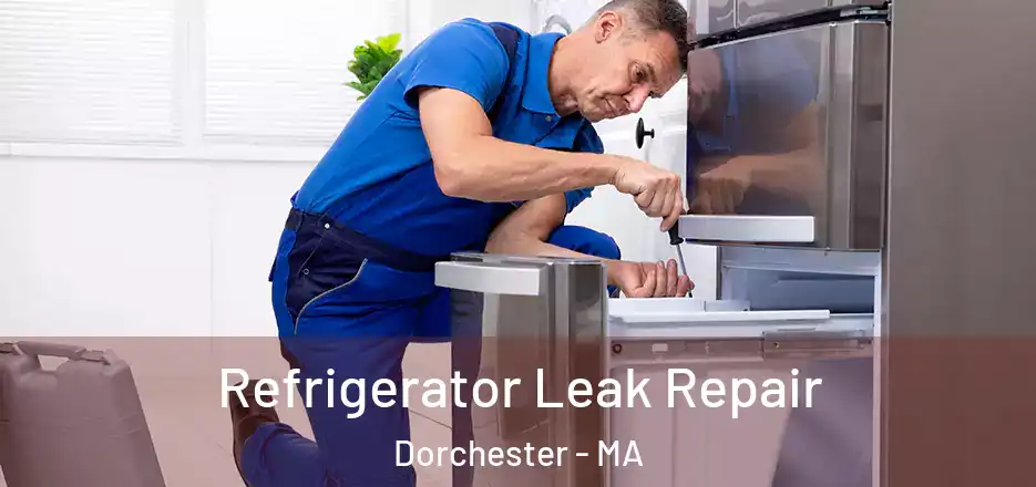 Refrigerator Leak Repair Dorchester - MA