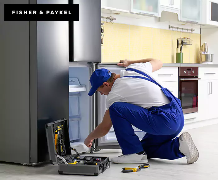Top-Rated Fisher & Paykel Appliance Experts: Your Brand Specialist in Dorchester, MA