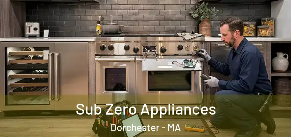 Sub Zero Appliances Dorchester - MA